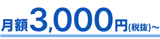月額3,000円（税抜）〜